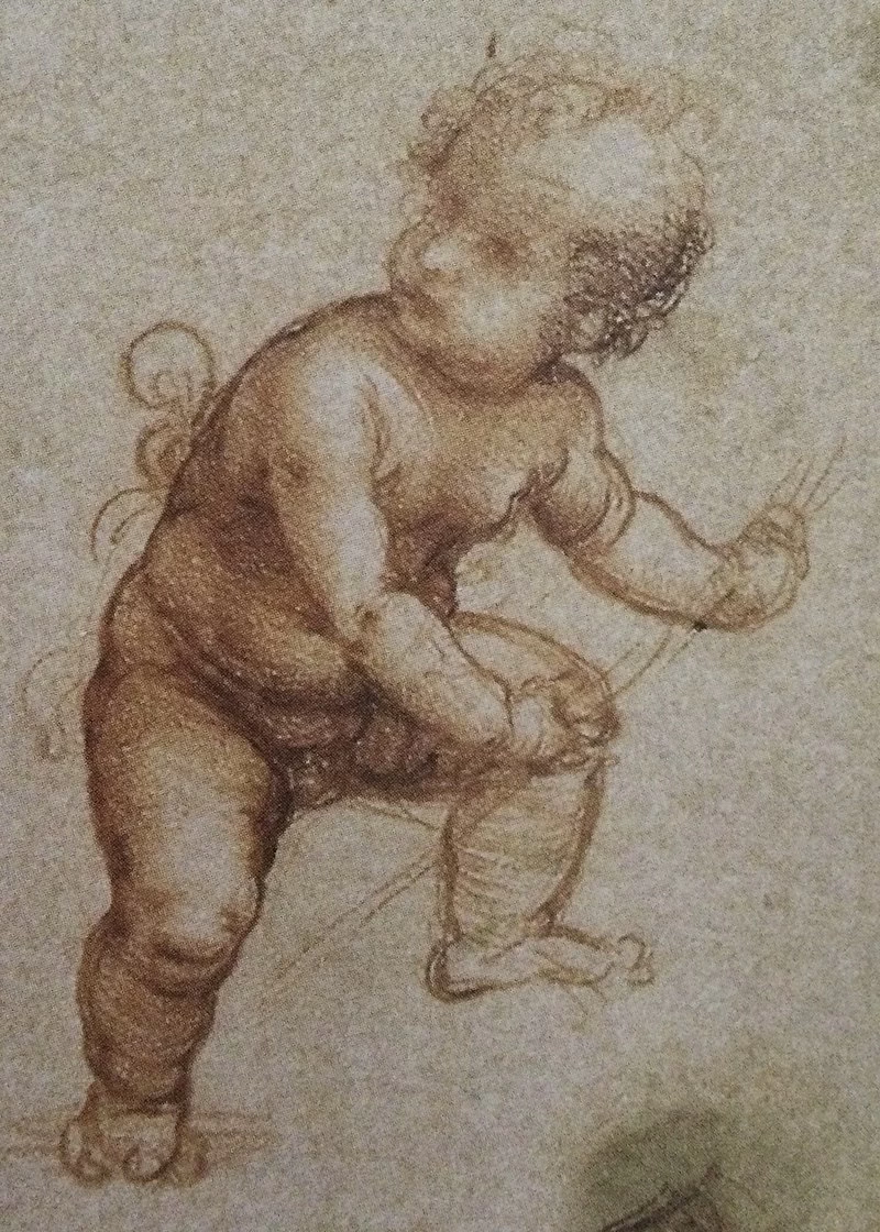 108-Studio per Saint'Anna - Il bambino - Gallerie dell'Accademia, Venezia - dettaglio